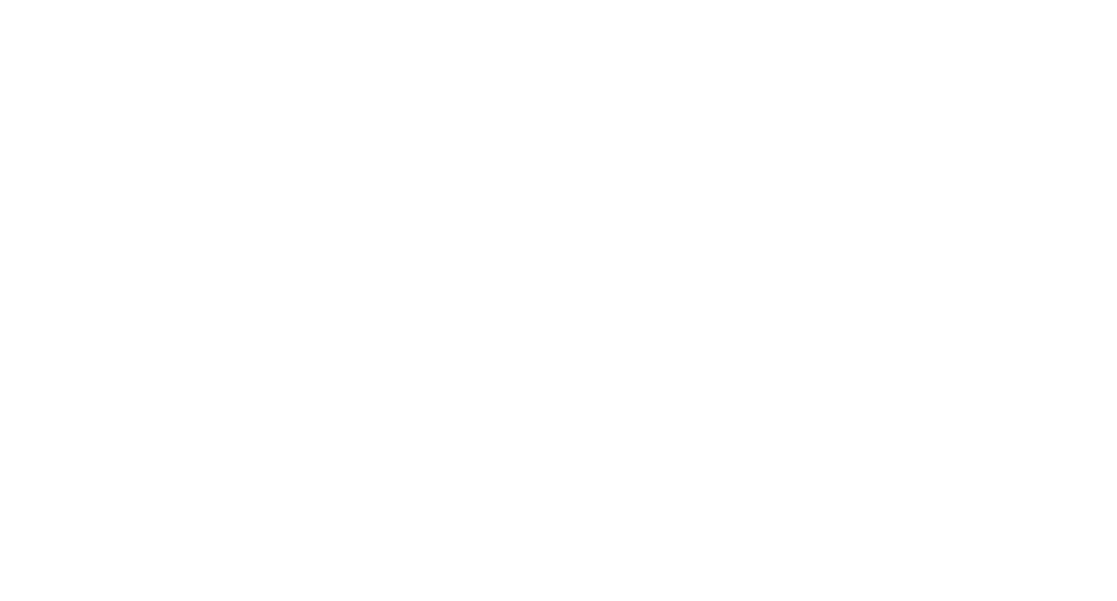 Apin Hair Academy Logo